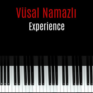 Vüsal Namazlı - Experience