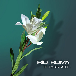Amigos No - song and lyrics by Río Roma | Spotify