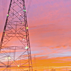 Zilla.Zill - Just like a Lemon