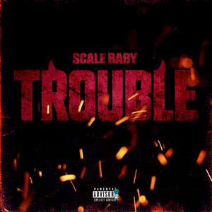 Trouble by Scale Baby