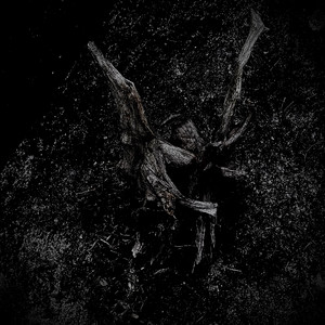 wound by Atlantic Rift