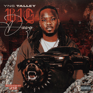 YNS Talley - BIG DAWG