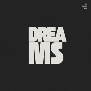 Dreams - Extended Mix by Big Bunny Bob