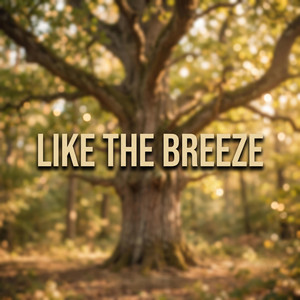 Like The Breeze by Lady Vanci