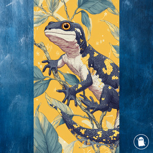 Salamandra Salamandra by Em9