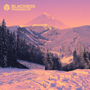 BlackBox — Promises