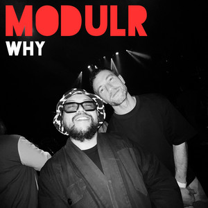 WHY by Modulr