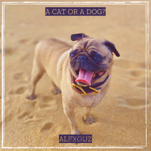 Alex Guz - A Cat or a Dog?