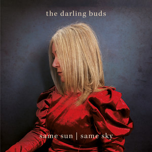 Lost Time by The Darling Buds