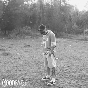 Portada de Goodbye