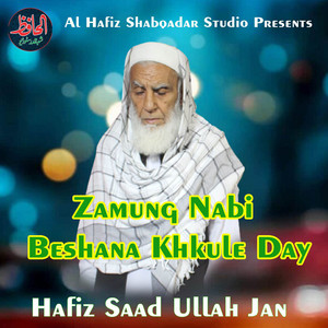 Hafiz Saad Ullah Jan - Zamung Nabi Beshana Khkule Day
