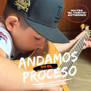Mateo ''El Torito'' Gutierrez - Andamos en el Proceso