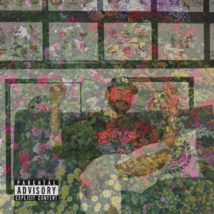 DIASPORA by TONITO, The Mushroom Man