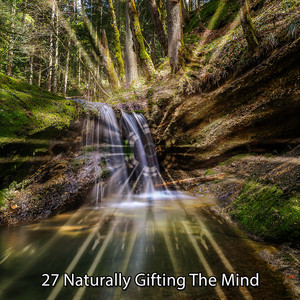 27 Naturally Gifting The Mind album