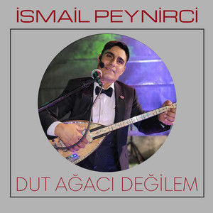 Dut Ağacı Değilem