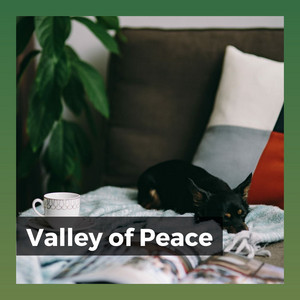 Valley of Peace album