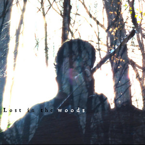 lost in the woods by kolben