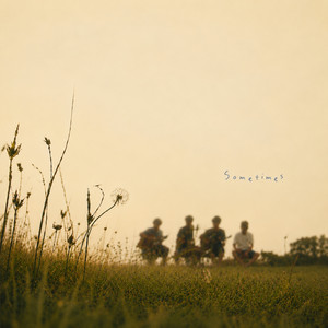 Sometimes by Run Ray Run