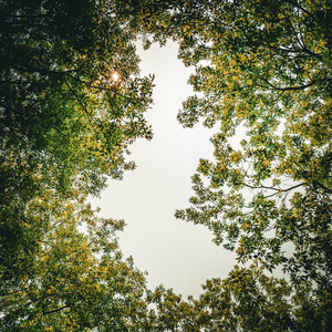 evergreen by l'ami, park plaza, The Lofi Christian