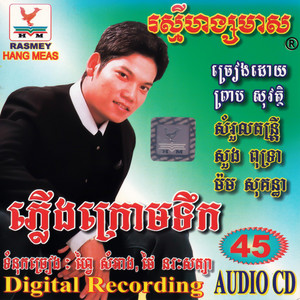 អានី by ព្រាប សុវត្ថិ