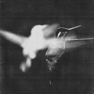 Interlude by Wings of Desire