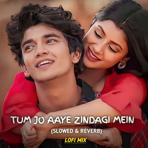Tum Jo Aaye Zindagi Mein (Lofi Mix)