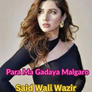 Said Wali Wazir - Para Ma Gadaya Malgaro