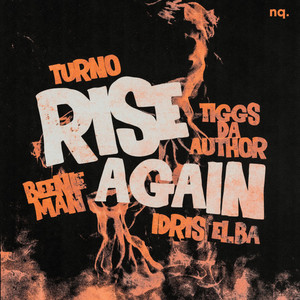 Rise Again by Tiggs Da Author, Turno, Beenie Man, Idris Elba, NQ