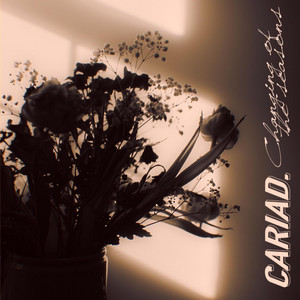 Changing Of The Seasons by Cariad.