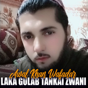 Awal Khan Wafadar - Khali Mi Da Gham Misrey Likali Di Naa