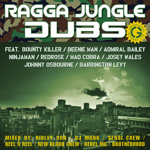 レア盤 the 1995 Ragga in / Jungle Various
