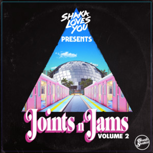 Everybody Knows This Ain't Right - Mixed by Izo FitzRoy, Shaka Loves You