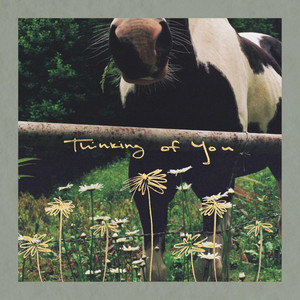 Thinking of You by Katie Dineen