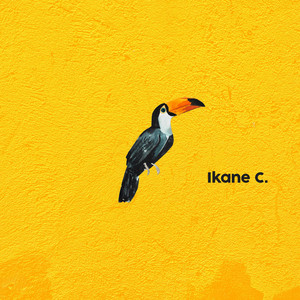 Toucans