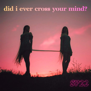 Did I Ever Cross Your Mind?