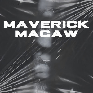 Drive Fast by Maverick Macaw