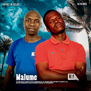 dj Mlindo artist photo