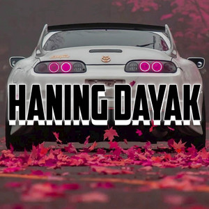 Putra Rmx - DJ - Bfunk - Haning Dayak