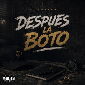 Despues la boto by El Punzon