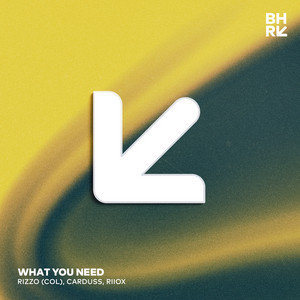 What You Need by Rizzo (Col), Carduss