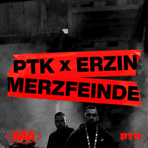 Merzfeinde by PTK, Erzin