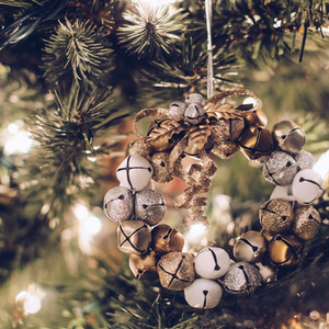 partyhousemr - All I Want for Christmas Is You (SkeeYee Rap Remix)