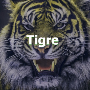 Sky Flow - Tigre