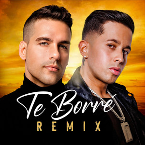 Te Borré (Mix D' La Ghetto) by Lenny de la Rosa