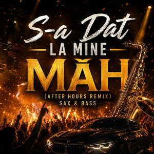 S-a Dat la Mine Mah - After Hours Remix by GlitchyX