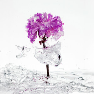 Fragrance of the Invisible