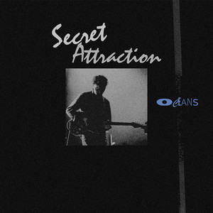 Turn To Dreams by Secret Attraction