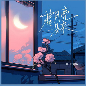 若月亮没来 - DJ小瑞版 by 王宇宙Leto, 乔浚丞, 小瑞