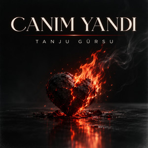 Canım Yandı by Tanju Gursu