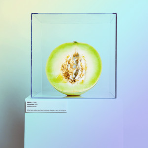 The Kids Are Alright - EBEN